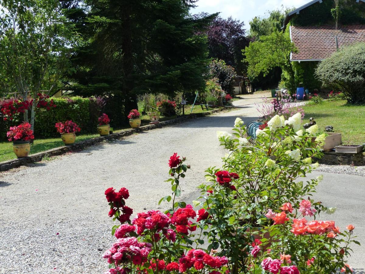 La Source D'Argammet Bed and Breakfast La Ferté Eksteriør billede